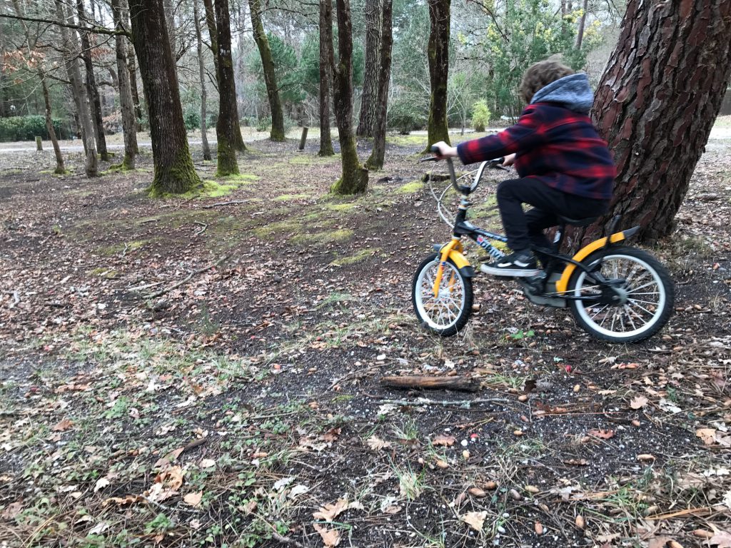 Locations de vélos - Lacanau Lodge